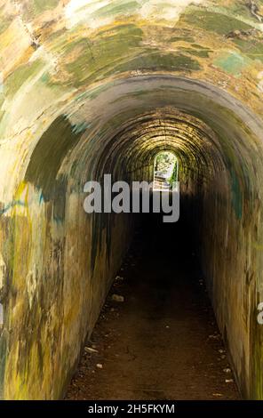 WA19769-00...WASHINGTON - Vecchio tunnel tra Artillery Hill e Benson Battery presso lo storico Fort Worden a Port Townsend. Foto Stock