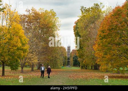 Londra, Regno Unito. Martedì 9 novembre 2021. Scene d'autunno a Kew Gardens a Londra. Foto: Richard Grey/Alamy Live News Foto Stock