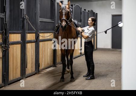 Il cavaliere femminile mette le munizioni sul suo cavallo in stalla Foto Stock