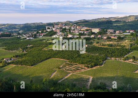 Vista sul paese di Rodello sulle colline dei vigneti delle Langhe, Patrimonio dell'Umanità dell'UNESCO, in estate al tramonto, Cuneo, Piemonte, Italia Foto Stock