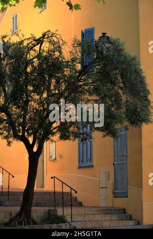 Mouans Sartoux, Arriere pays Grassois, 06, Alpes-Maritimes, PACA, Foto Stock