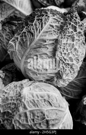 Verza Cabbage teste con sorprendente crinkly foglie. Primo piano di una foto drammatica Foto Stock