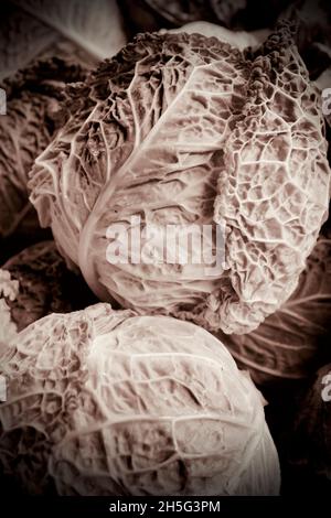 Verza Cabbage teste con sorprendente crinkly foglie. Primo piano di una foto drammatica Foto Stock