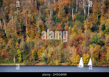 Due piccole barche a vela sul lago Baldeney, Baldeneysee, sullo sfondo di una foresta autunnale con vegetazione colorata, Essen, Germania Foto Stock