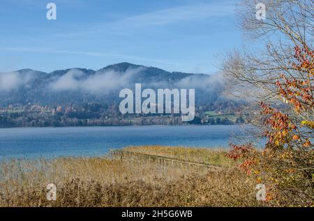 Lago Tegernsee e le montagne che circondano il lago Tegernsee in autunno con un po' di nebbia e i bellissimi colori autunnali dell'altopiano alpino Foto Stock
