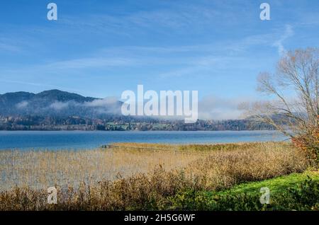 Lago Tegernsee e le montagne che circondano il lago Tegernsee in autunno con un po' di nebbia e i bellissimi colori autunnali dell'altopiano alpino Foto Stock
