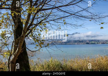 Lago Tegernsee e le montagne che circondano il lago Tegernsee in autunno con un po' di nebbia e i bellissimi colori autunnali dell'altopiano alpino Foto Stock