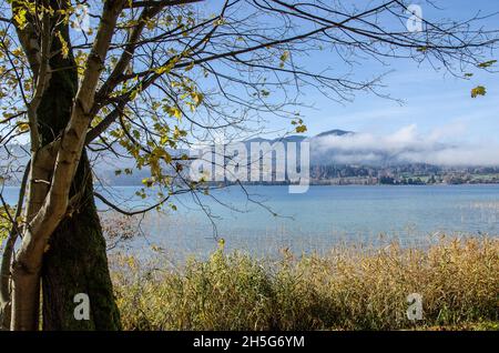 Lago Tegernsee e le montagne che circondano il lago Tegernsee in autunno con un po' di nebbia e i bellissimi colori autunnali dell'altopiano alpino Foto Stock