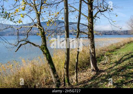 Lago Tegernsee e le montagne che circondano il lago Tegernsee in autunno con un po' di nebbia e i bellissimi colori autunnali dell'altopiano alpino Foto Stock