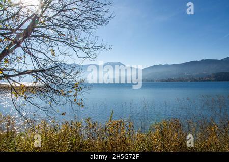 Lago Tegernsee e le montagne che circondano il lago Tegernsee in autunno con un po' di nebbia e i bellissimi colori autunnali dell'altopiano alpino Foto Stock