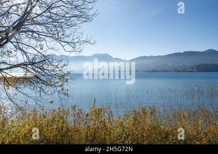 Lago Tegernsee e le montagne che circondano il lago Tegernsee in autunno con un po' di nebbia e i bellissimi colori autunnali dell'altopiano alpino Foto Stock