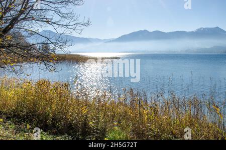 Lago Tegernsee e le montagne che circondano il lago Tegernsee in autunno con un po' di nebbia e i bellissimi colori autunnali dell'altopiano alpino Foto Stock
