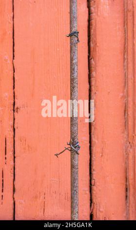 Stoccolma, Svezia - 15 aprile 2021: Un bastone di ferro arrugginito con nodo di filo e sfondo di legno rosso Foto Stock
