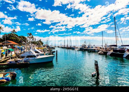 Barche ormeggiate in un porto di Lahaina; Maui, Hawaii, Stati Uniti d'America Foto Stock