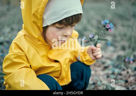 Il bambino in giacca gialla con cappuccio è pucking primi fiori primavera blu nella foresta Foto Stock