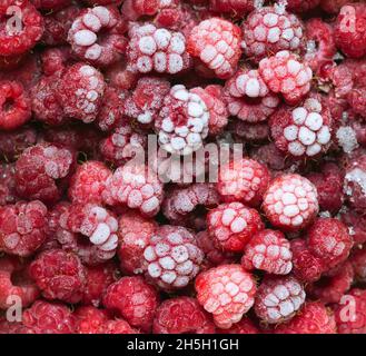 Primo piano di frutti di lampone congelati Foto Stock