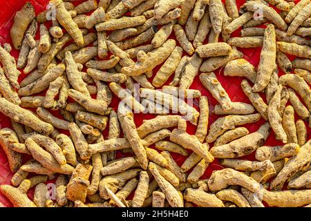 Radici curmeriche gialle secche da vicino vista dall'alto Foto Stock