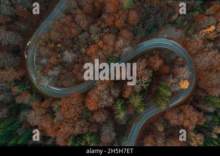 Vista dei droni Eycatching su una curva a s nella stagione autunnale con percorsi leggeri di auto alla curva. Foto Stock