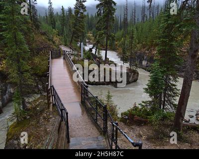 Sentiero escursionistico che conduce al Marble Canyon nel Parco Nazionale di Kootenay, Canada, nelle Montagne Rocciose con ponte sopra il torrente selvaggio in autunno nuvoloso giorno. Foto Stock