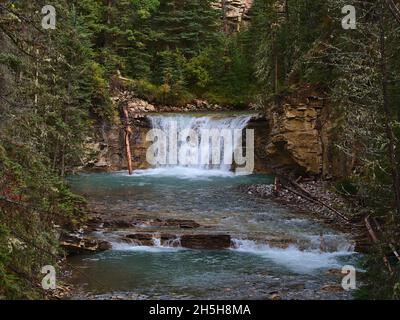 Fiume con acqua limpida e piccola cascata nel Johnston Canyon, un burrone nel Banff National Park, Alberta, Canada nelle Montagne Rocciose nella foresta. Foto Stock