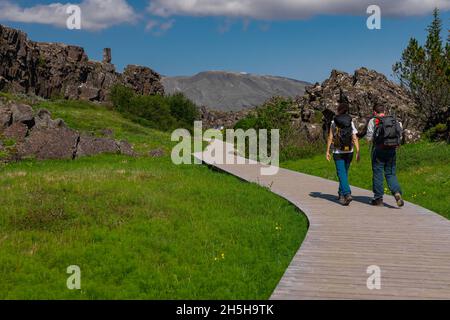 Formazioni rocciose nel parco nazionale di Thingvellir in Islanda, dove si incontrano le placche tettoniche. Vista di rocce e fiori in primo piano. Escursionista visibile Foto Stock