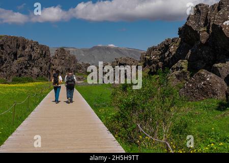 Formazioni rocciose nel parco nazionale di Thingvellir in Islanda, dove si incontrano le placche tettoniche. Vista di rocce e fiori in primo piano. Escursionista visibile Foto Stock