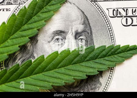 Foglia di marijuana in contanti Hundred Dollar Bills. Un foglio di marijuana per denaro, dollari e la cannabis, un legale e del mercato nero di business. Foto Stock