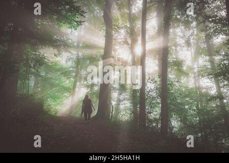 Persona sconosciuta che cammina su un percorso forestale con forte retroilluminazione e striature di luce che penetrano attraverso la nebbia. Donna persa in un forestm incantato visibile si Foto Stock