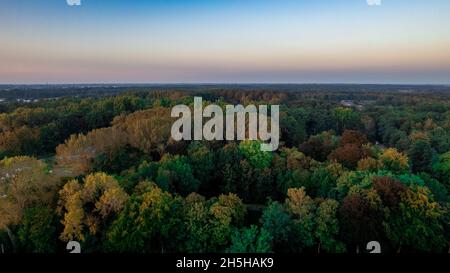 Vista aerea di uccelli sulla splendida foresta di conifere temperate sopra gli alberi che mostrano i colori incredibili della foresta di pini verdi. Ronzio aereo, volare basso su un paesaggio forestale denso. Foto di alta qualità Foto Stock