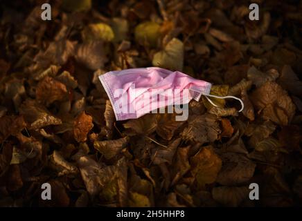 La maschera di protezione rosa scartata si trova a terra nelle foglie autunnali, Corona Crisis, Stoccarda, Baden-Wuerttemberg, Germania Foto Stock