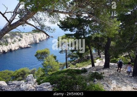 Sentiero escursionistico, Calanque de Port pin, Calanque de Port Miou, Cassis, Calanque, Parco Nazionale delle Calanques, Massif des Calanques, Bocche del Rodano Foto Stock