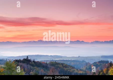 Autunno alba con nebbia sulle midlands collinari, Alpi svizzere sullo sfondo, vista da Hoechenschwand nella Foresta Nera, Germania Foto Stock