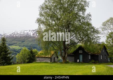 Agriturismo, Jolstravatnet, sogna og Fjordane, Norvegia Foto Stock