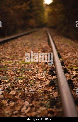 Vecchi sentieri ferroviari in una foresta, autunno, Germania. Foto Stock