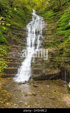 Foto ritratto della cascata "Water Break ITS Neck" nella foresta di Raonor nel Galles centrale Foto Stock