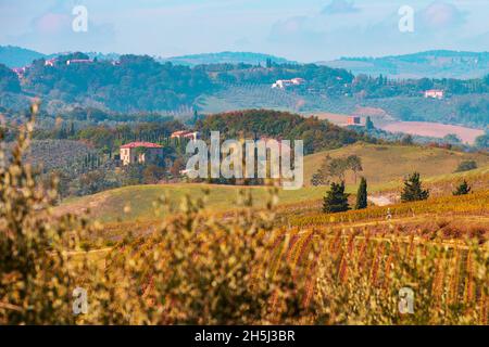 Regione del Chianti in provincia di Siena. Toscana paesaggio, Italia Foto Stock