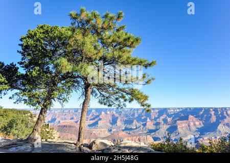 Vista panoramica dal South Rim sul Grand Canyon nel Parco Nazionale del Grand Canyon, Arizona, Stati Uniti d'America con un cielo blu chiaro Foto Stock