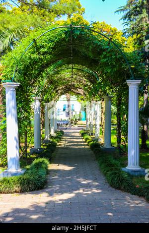 Tunnel ad arco in un parco a Batumi, Georgia Foto Stock