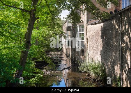 Indietro del Beck Skipton, vista in estate del torrente boschivo, o beck, che corre lungo il retro delle proprietà d'epoca a Skipton, North Yorkshire Foto Stock