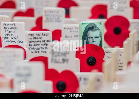 Londra, Regno Unito. 10 novembre 2021. Croci con papaveri su sono disposti, da Poppy Factory volontari, in attesa di infillare con messaggi di ricordo da individui da parte dei loro vari reggimenti e corpo - il campo di ricordo è in fase di preparazione al di fuori di Westminster Abbey. Credit: Guy Bell/Alamy Live News Foto Stock