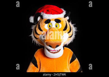 Soffice tigre arancione in un cappello rosso di babbo natale su sfondo nero. Natale e Capodanno 2022 concetto, festa Foto Stock