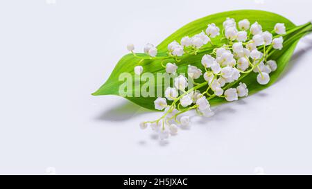 Bouquet di giglio della valle, Convallaria majalis, isolato su sfondo bianco. Concetto di umore per le vacanze di primavera Foto Stock