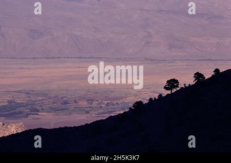 Sierra orientale della California, Stati Uniti d'America Foto Stock