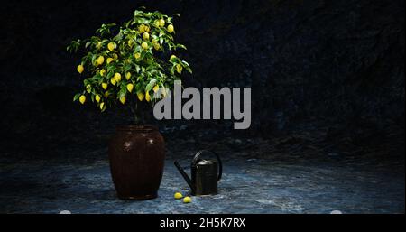 Una pentola di limone e una vecchia annaffiatura Foto Stock