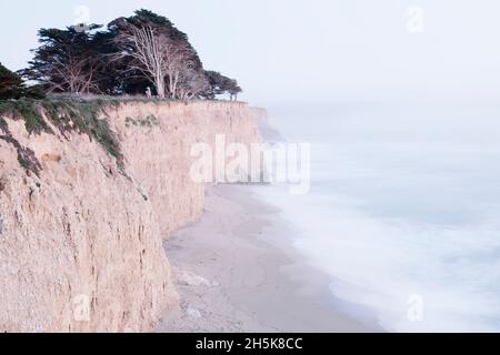 Scogliere di mare e cipressi boschetto lungo la spiaggia costiera; Davenport, Santa Cruz, California, Stati Uniti d'America Foto Stock