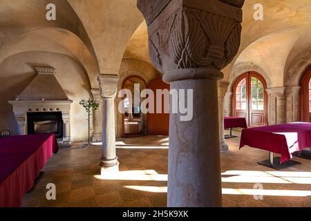 Sala giardino con camino nel monastero di Ilsenburg Foto Stock