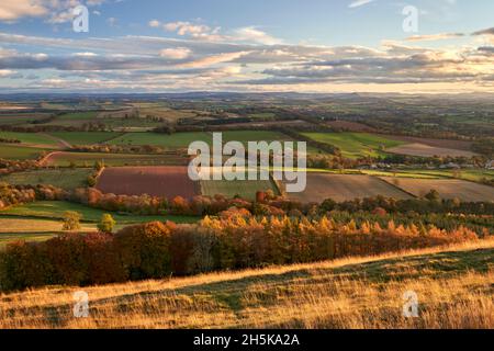 Vista autunnale dalla cima della Black Hill vicino a Earlston guardando attraverso le Cheviot Hills e l'Inghilterra. Foto Stock