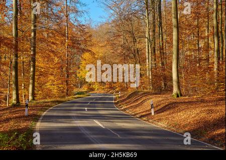 Strada che si snoda attraverso una foresta in autunno colorato fogliame; Spessart, Baviera, Germania Foto Stock