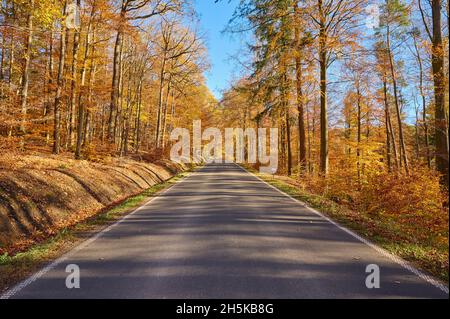 Strada che conduce attraverso una foresta in autunno colorato fogliame; Spessart, Baviera, Germania Foto Stock