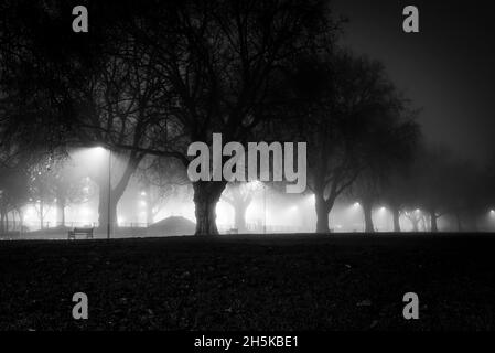 Mattinata di nebbia a London Fields, Shoreditch, Londra, Regno Unito; Londra, Inghilterra Foto Stock